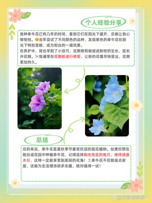 牵牛花怎么种？牵牛花怎么种教程？-第6张图片-优品飞百科