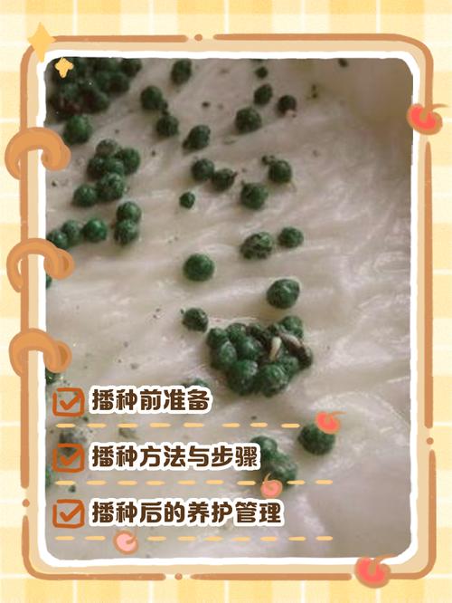 铜钱草怎么种？铜钱草怎么种植方法？-第4张图片-优品飞百科