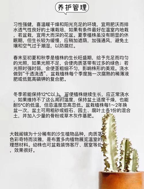 大戟阁锦砍头方法？大戟长什么样子？-第3张图片-优品飞百科