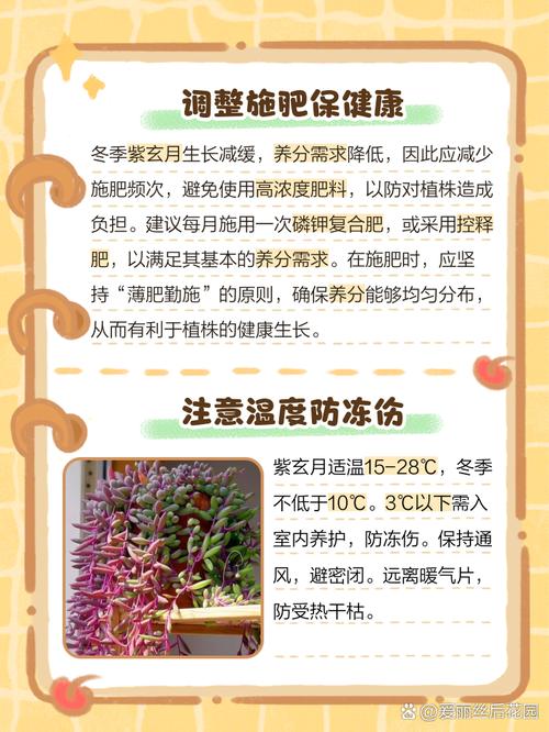 紫弦月怎么养？紫弦月怎么养变色？-第1张图片-优品飞百科