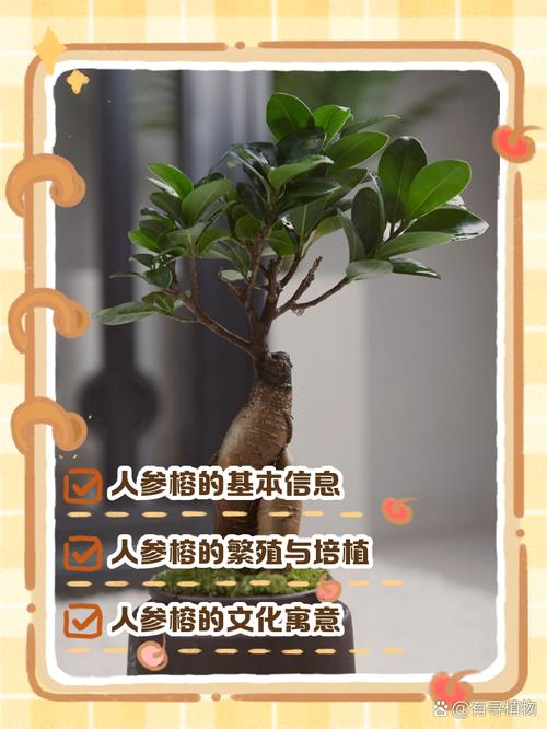 人参榕与榕树开花吗，人参榕与榕树区别-第6张图片-优品飞百科