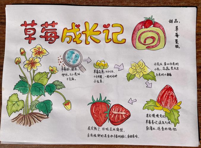 草莓什么时候结果，草莓什么时候结果一年结几次果？-第4张图片-优品飞百科