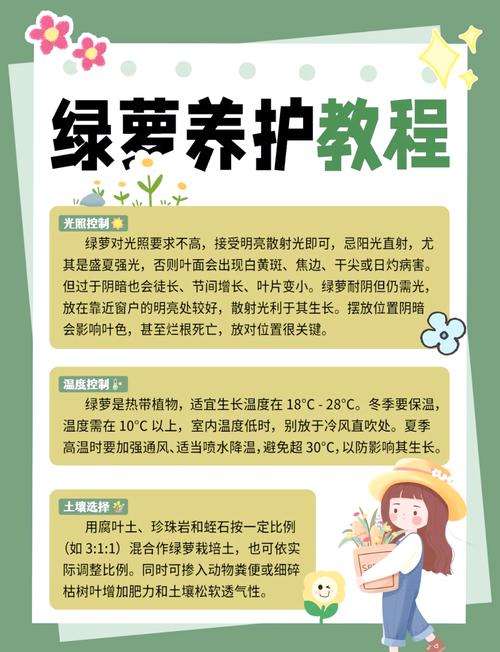 绿萝怎么养长得好，绿萝怎样养才长得好-第2张图片-优品飞百科