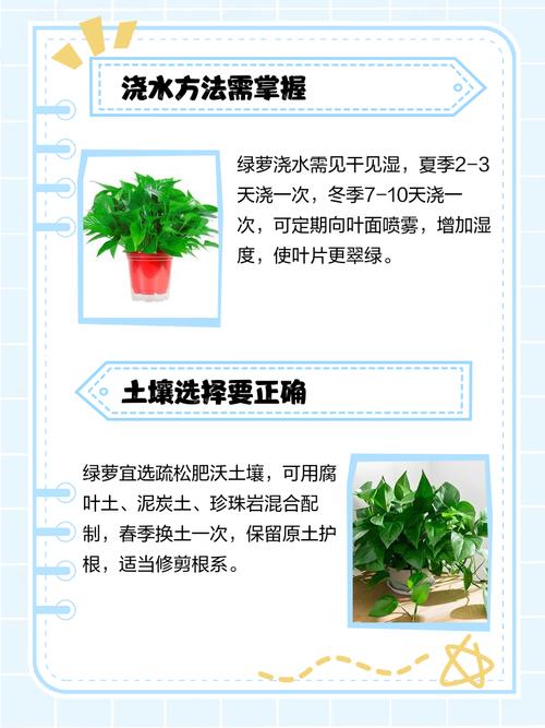 绿萝怎么养长得好，绿萝怎样养才长得好-第4张图片-优品飞百科