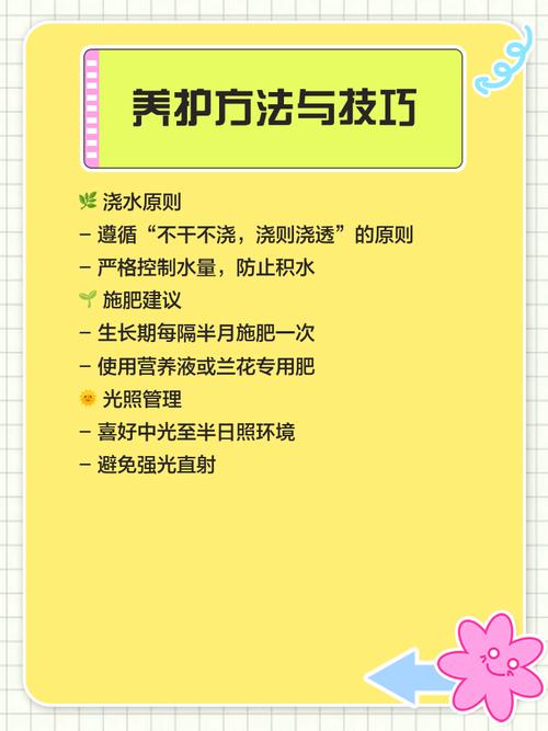 咖啡兰怎么养，咖啡兰怎么养才能开花-第4张图片-优品飞百科