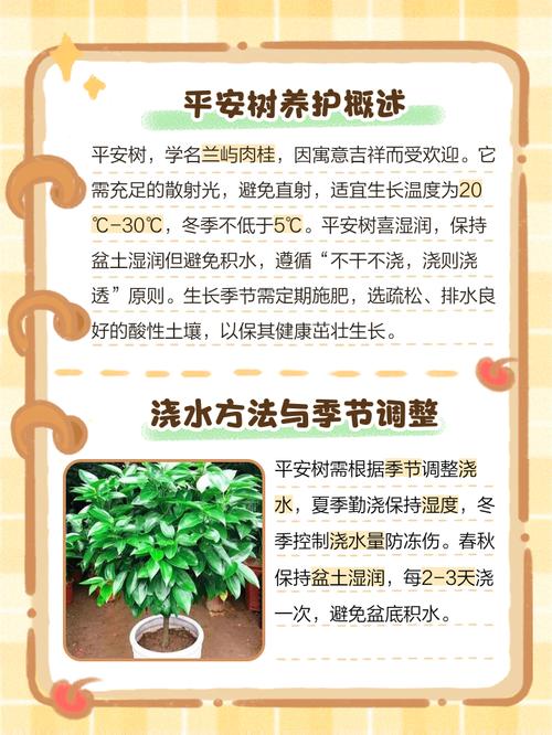 平安树浇水能加醋吗？平安树用白醋兑水浇可以吗？-第2张图片-优品飞百科
