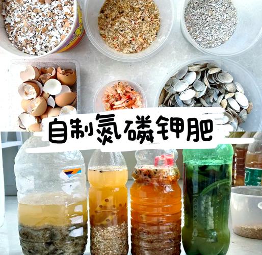 淘米水花肥的制作方法,如何制作淘米水花肥?-第2张图片-优品飞百科 淘米水花肥的制作方法,如何制作淘米水花肥?-第2张图片-优品飞百科