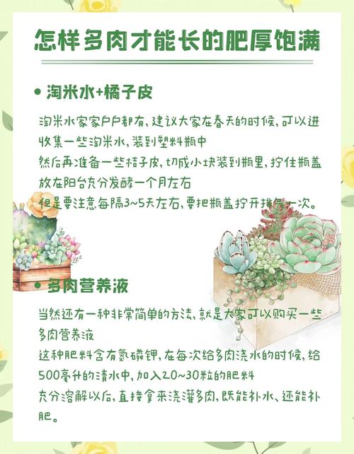 淘米水花肥的制作方法,如何制作淘米水花肥?-第5张图片-优品飞百科 淘米水花肥的制作方法,如何制作淘米水花肥?-第5张图片-优品飞百科