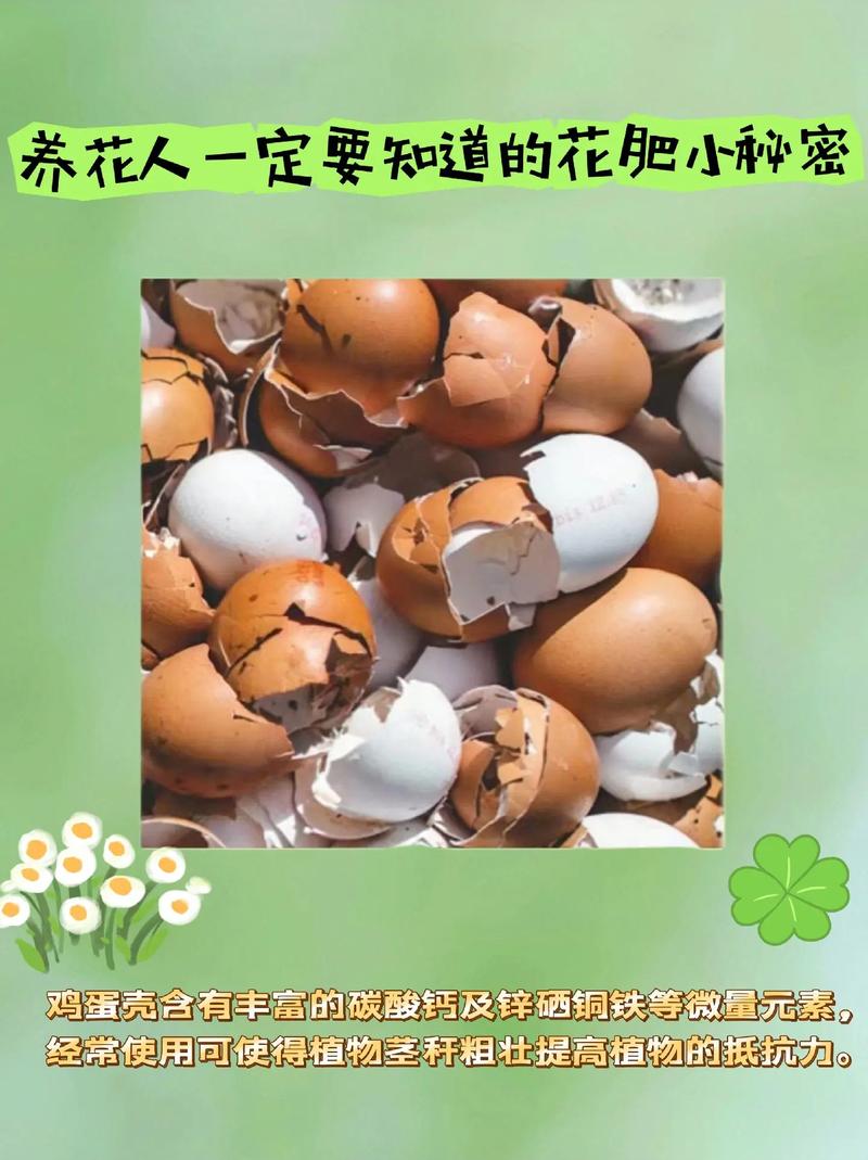 淘米水花肥的制作方法,如何制作淘米水花肥?-第6张图片-优品飞百科 淘米水花肥的制作方法,如何制作淘米水花肥?-第6张图片-优品飞百科