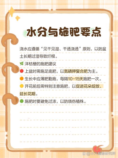 洋桔梗水养技巧，洋桔梗水养技巧图解