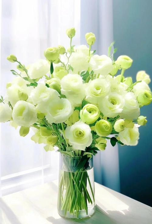 洋桔梗水养技巧，洋桔梗水养技巧图解-第4张图片-优品飞百科