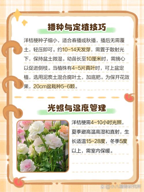 洋桔梗水养技巧，洋桔梗水养技巧图解-第5张图片-优品飞百科