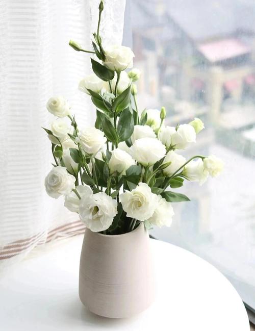 洋桔梗水养技巧，洋桔梗水养技巧图解-第6张图片-优品飞百科