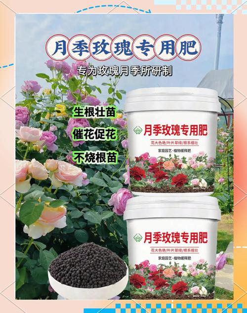 月季花用什么肥料最佳,月季花用什么肥料最佳养护?-第1张图片-优品飞百科 月季花用什么肥料最佳,月季花用什么肥料最佳养护?-第1张图片-优品飞百科