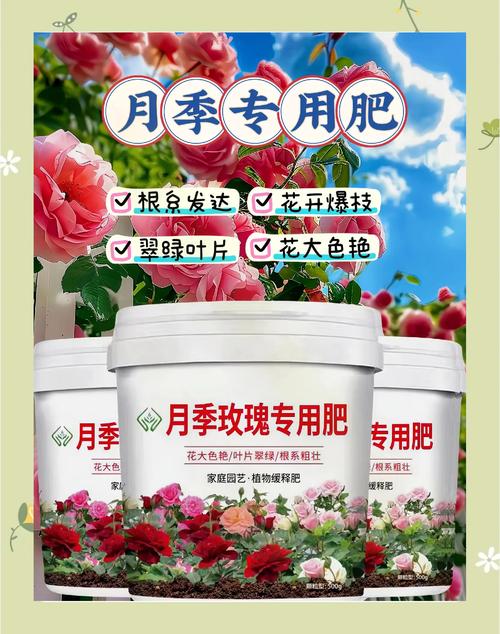 月季花用什么肥料最佳,月季花用什么肥料最佳养护?-第5张图片-优品飞百科 月季花用什么肥料最佳,月季花用什么肥料最佳养护?-第5张图片-优品飞百科