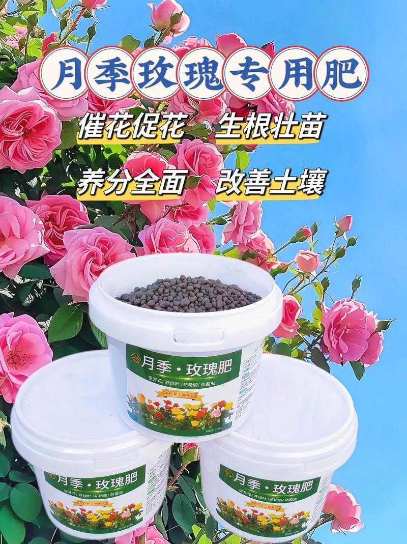 月季花用什么肥料最佳,月季花用什么肥料最佳养护?-第7张图片-优品飞百科 月季花用什么肥料最佳,月季花用什么肥料最佳养护?-第7张图片-优品飞百科