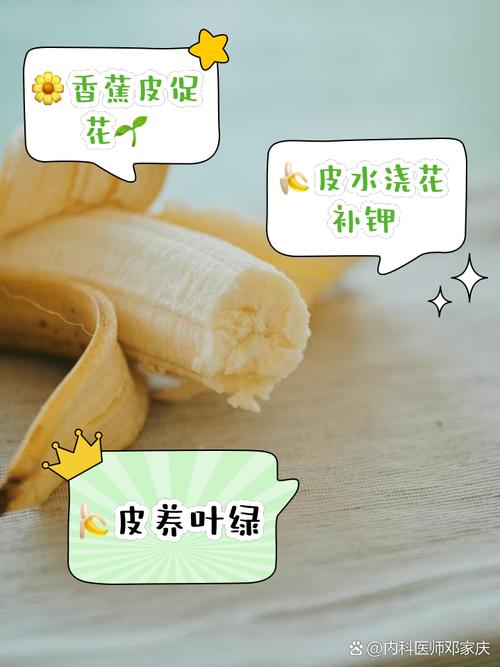 家里的花“吃”了香蕉皮之后疯长的简单介绍-第1张图片-优品飞百科