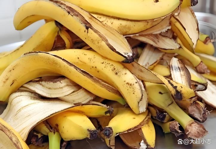 家里的花“吃”了香蕉皮之后疯长的简单介绍-第2张图片-优品飞百科