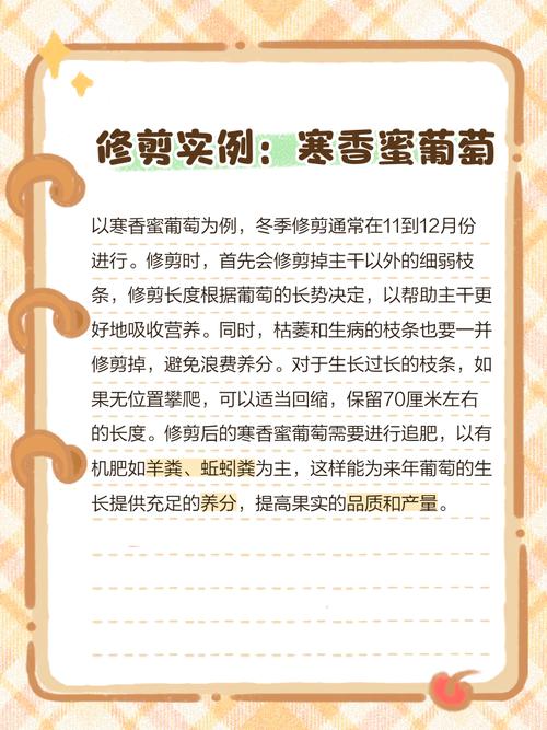 南方葡萄什么时候修剪,南方葡萄什么时候修剪枝条-第2张图片-优品飞百科 南方葡萄什么时候修剪,南方葡萄什么时候修剪枝条-第2张图片-优品飞百科