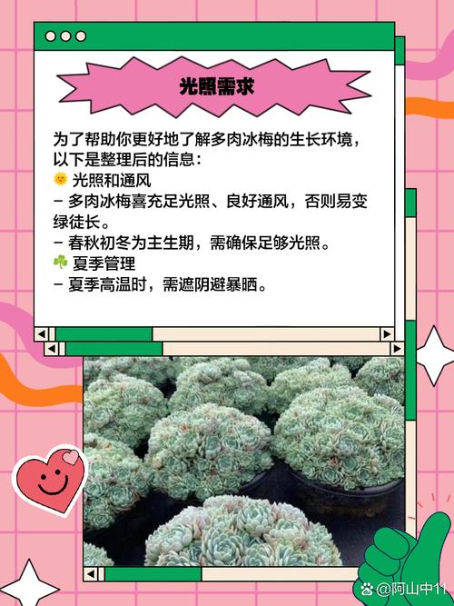 冰莓多肉怎么养，冰莓多肉怎样才能爆盆-第5张图片-优品飞百科