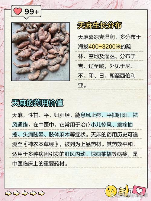 万年麻的养殖方法和注意事项，万年麻繁殖方法-第7张图片-优品飞百科