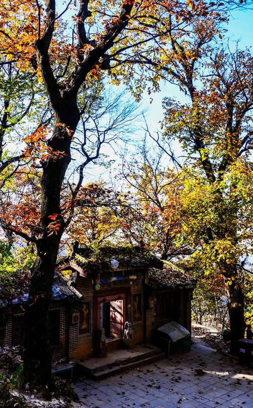 天气预报实时更新24小时西安，西安天气预报每小时预报？-第2张图片-优品飞百科