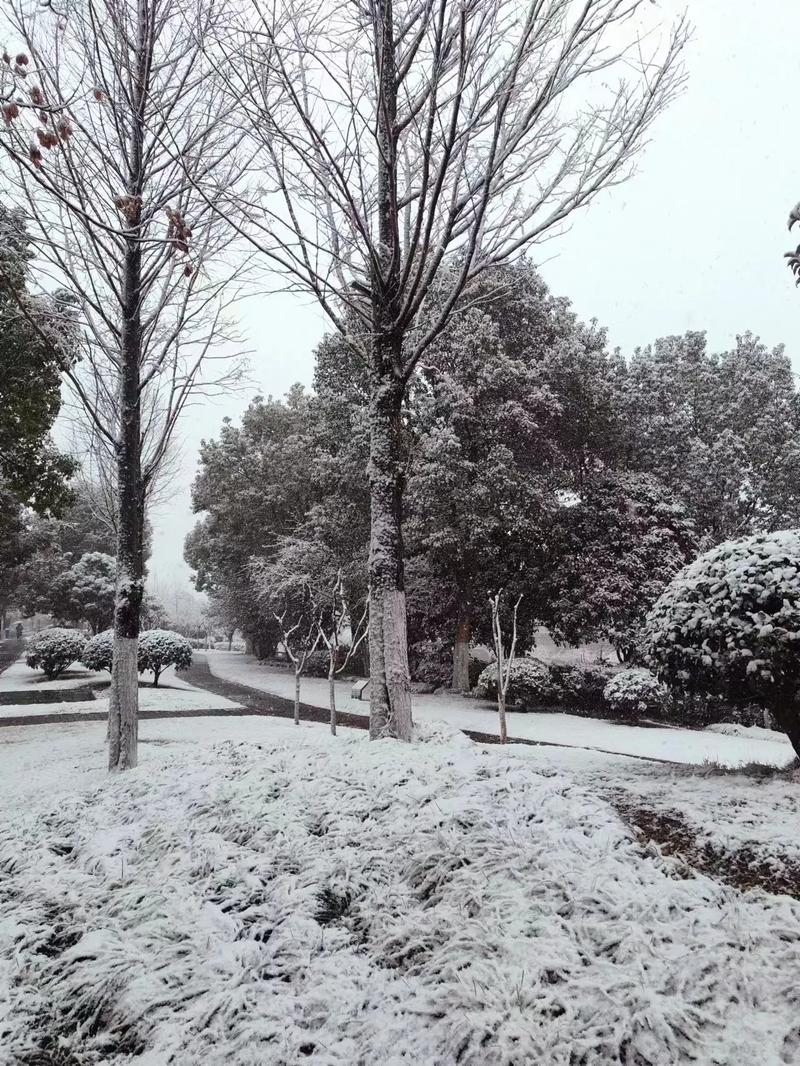 杭州市天气预报十五天,杭州市天气预报十五天天气预报?-第2张图片-优品飞百科 杭州市天气预报十五天,杭州市天气预报十五天天气预报?-第2张图片-优品飞百科