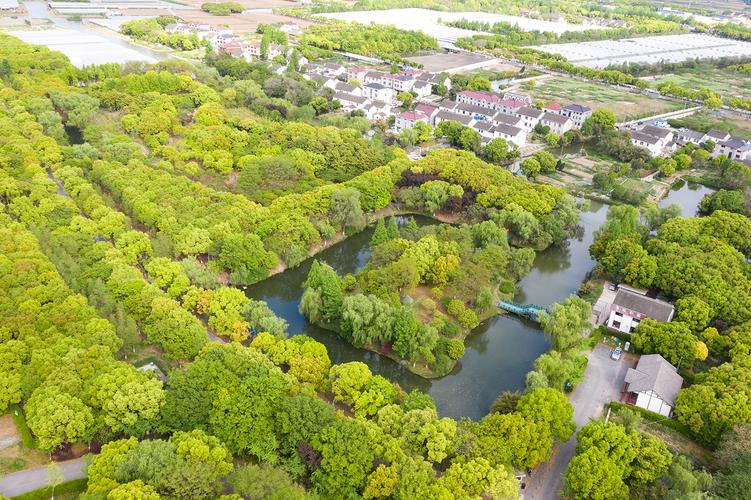 天气预报上海嘉定，天气预报上海嘉定15天查询？-第2张图片-优品飞百科