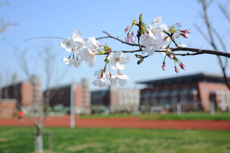 无锡天气预报15天查询新闻,无锡天气预报15天预报天气?-第3张图片-优品飞百科 无锡天气预报15天查询新闻,无锡天气预报15天预报天气?-第3张图片-优品飞百科