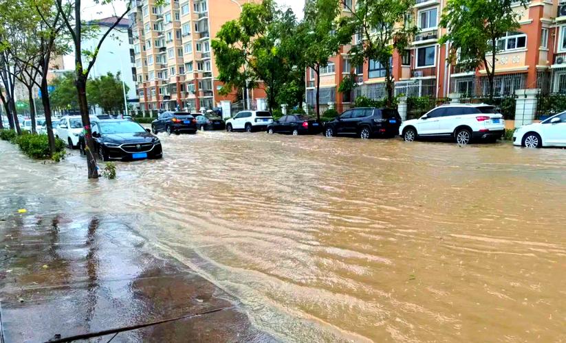 上海杨浦天气明天有雨吗多少度，今天上海杨浦区天气-第5张图片-优品飞百科