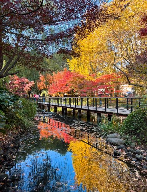 嘉定天气24小时安亭，上海嘉定安亭天气预报7天？-第3张图片-优品飞百科