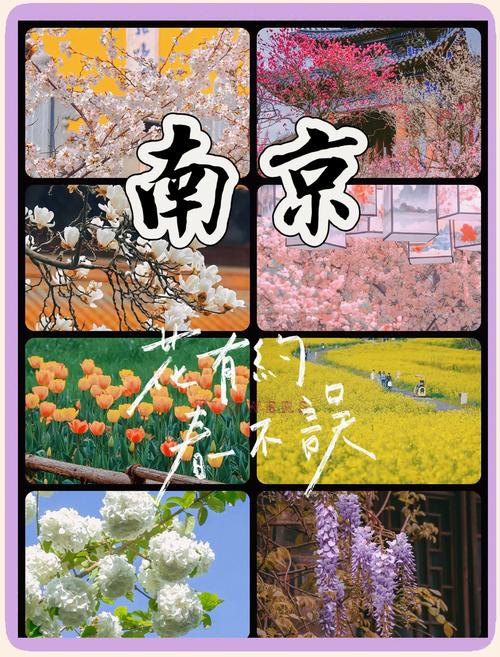 天气预报南京建邺？天气预报南京建邺区？-第2张图片-优品飞百科