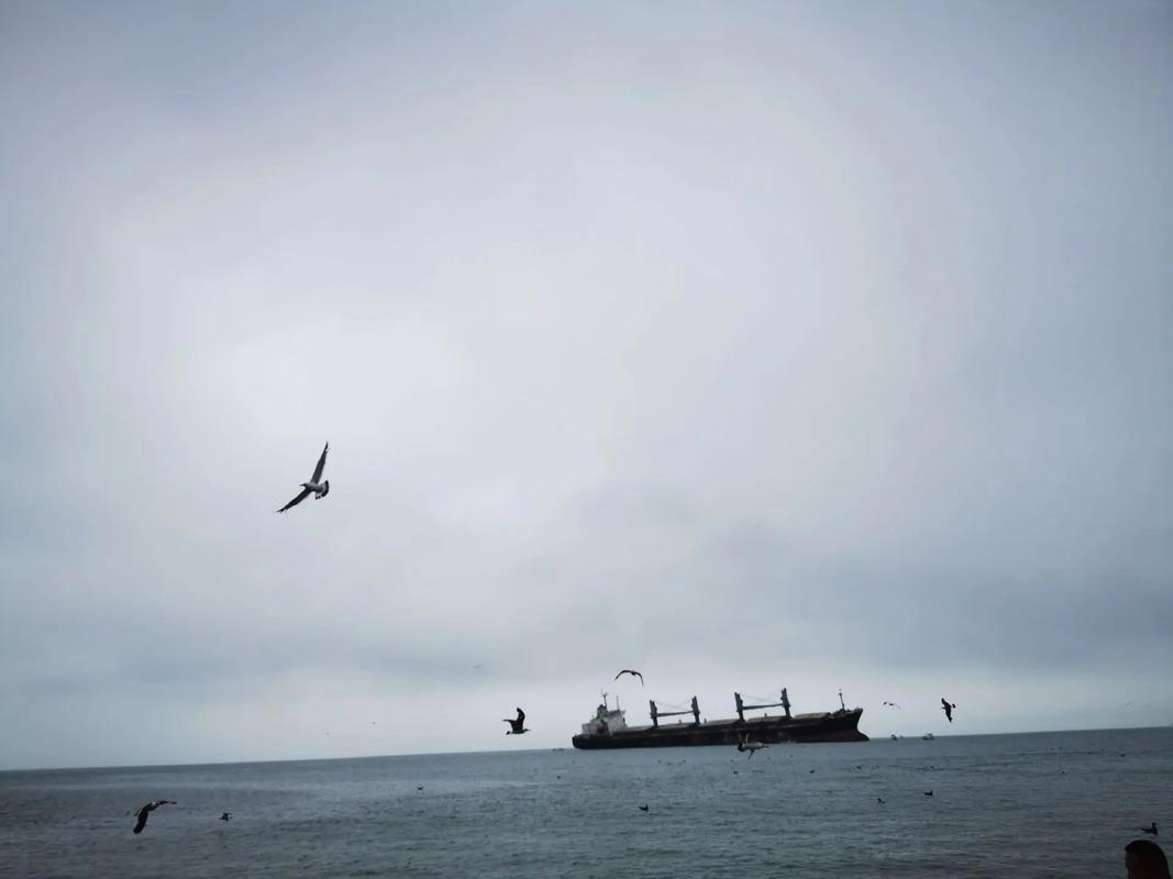 威海天气台风预警，威海天气预报台风？-第2张图片-优品飞百科