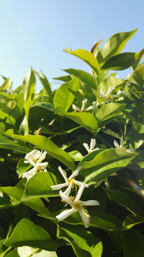 兰溪天气30天预报准确，兰溪天气15天？-第2张图片-优品飞百科