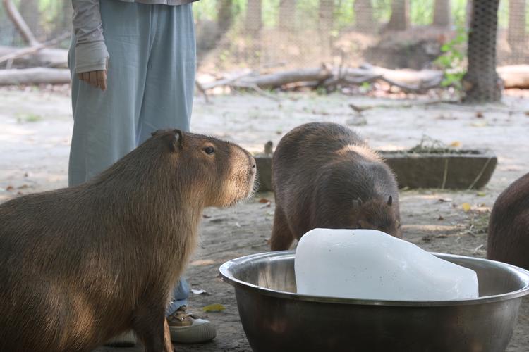 南通天气天气预报，南通地区天气天气预报-第2张图片-优品飞百科