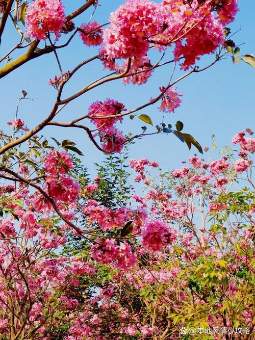 茂名茂南区天气预报，茂名暴雨最新消息今天