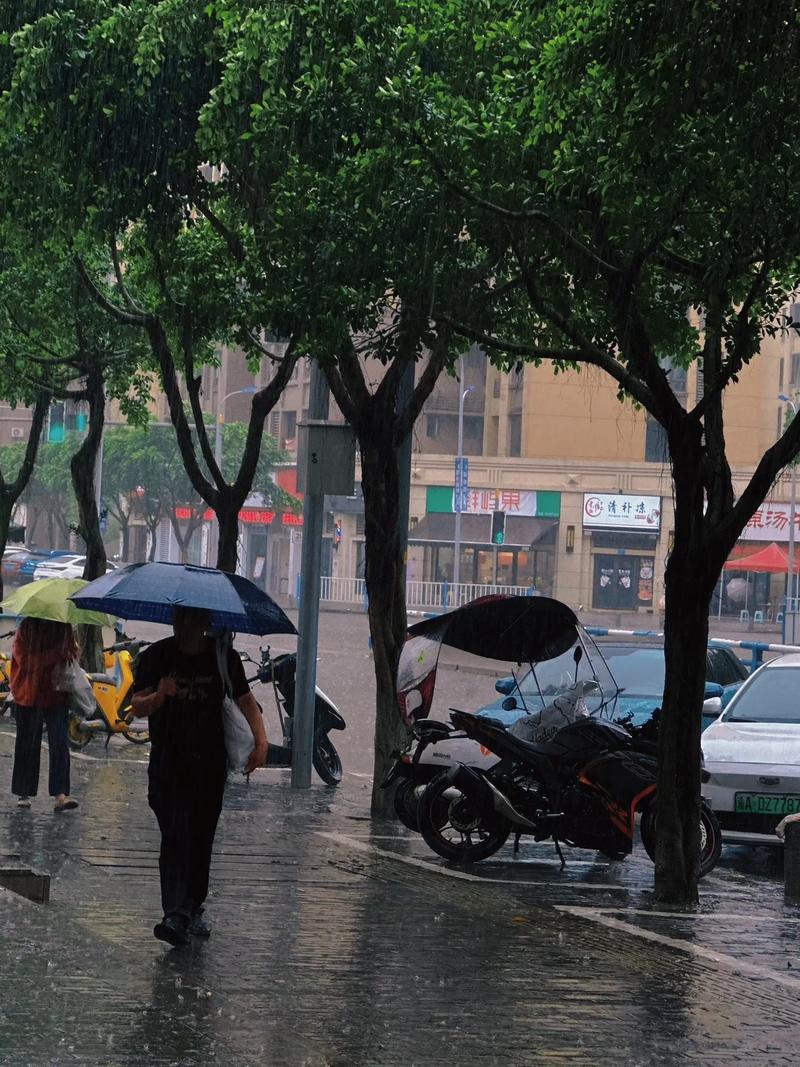 天气预报30天查询重庆最新？天气预报30天查询重庆最新消息视频？-第6张图片-优品飞百科