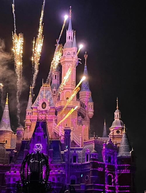 上海迪士尼地区天气怎么样，上海迪士尼天气30天正确？