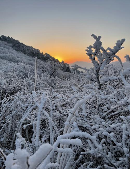 临安天气预报查询一周15天查询?临安天气预报一周天气?-第7张图片-优品飞百科 临安天气预报查询一周15天查询?临安天气预报一周天气?-第7张图片-优品飞百科