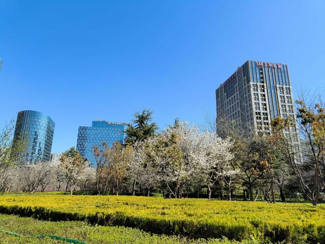 天气预报郑州15天查询当地全国，天气预报15天查询,郑州？-第8张图片-优品飞百科