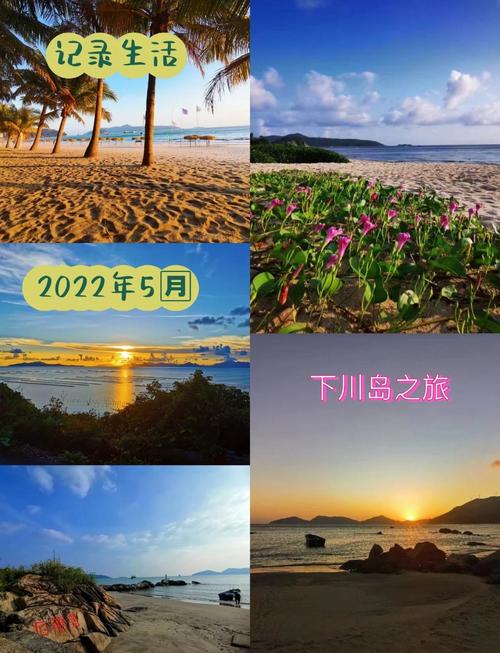 台山下川岛天气预报？台山下川岛天气预报未来三天查询？-第3张图片-优品飞百科