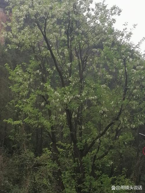 云南文山天气预报，云云南大理天气预报-第7张图片-优品飞百科