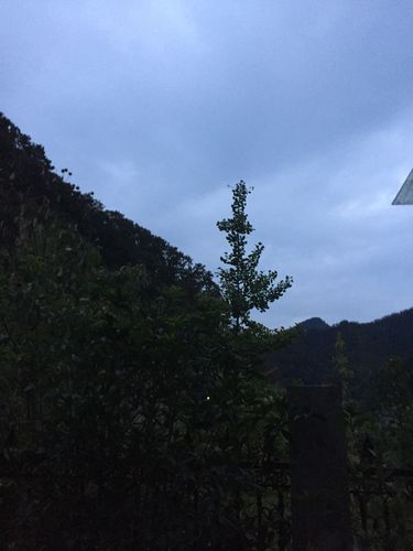 杭州临安天气预报7天,杭州·临安天气-第3张图片-优品飞百科 杭州临安天气预报7天,杭州·临安天气-第3张图片-优品飞百科