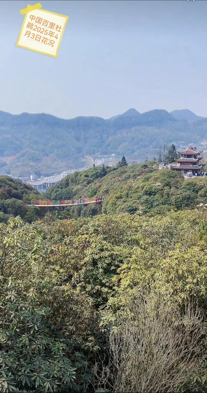 六盘水一周天气预报?六盘水一周天气预报10天?-第2张图片-优品飞百科 六盘水一周天气预报?六盘水一周天气预报10天?-第2张图片-优品飞百科