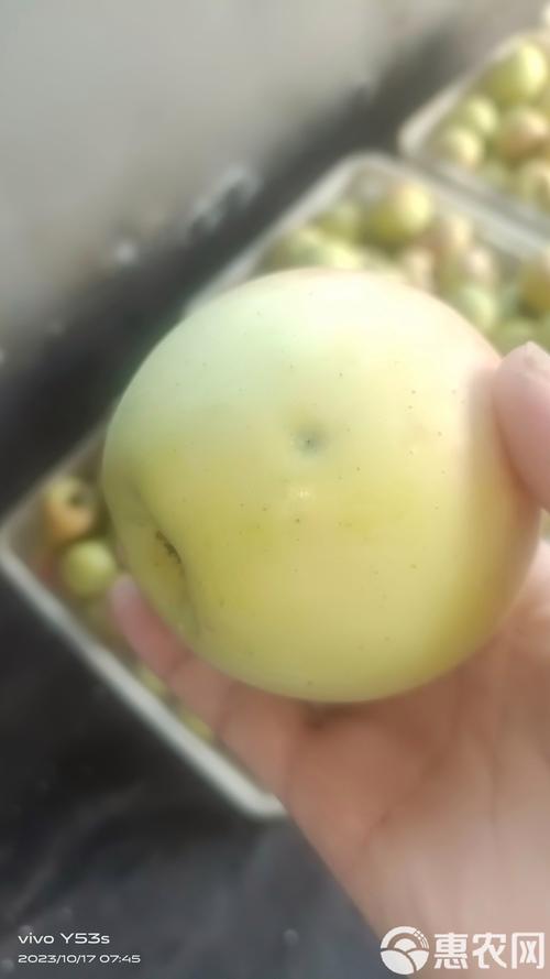 天峨天气预报?天峨天气预报40天?-第7张图片-优品飞百科 天峨天气预报?天峨天气预报40天?-第7张图片-优品飞百科