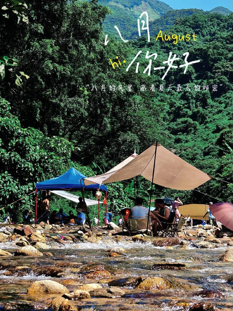 阳西天气预报，阳西天气预报一周天气-第4张图片-优品飞百科