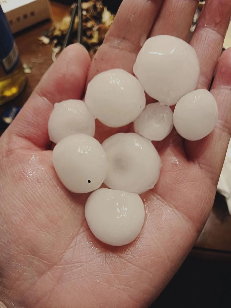 镇雄县天气预报，云南省镇雄县天气预报-第3张图片-优品飞百科