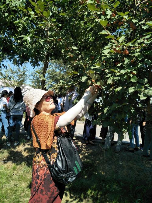 新疆昌吉市天气预报，新疆昌吉市天气预报搜索