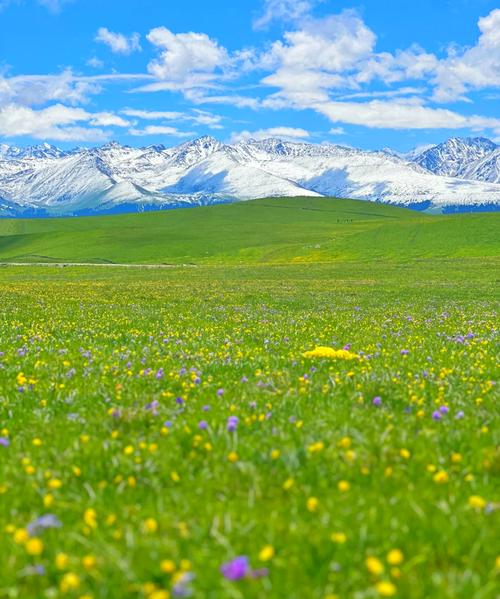 新疆昌吉市天气预报，新疆昌吉市天气预报搜索-第2张图片-优品飞百科