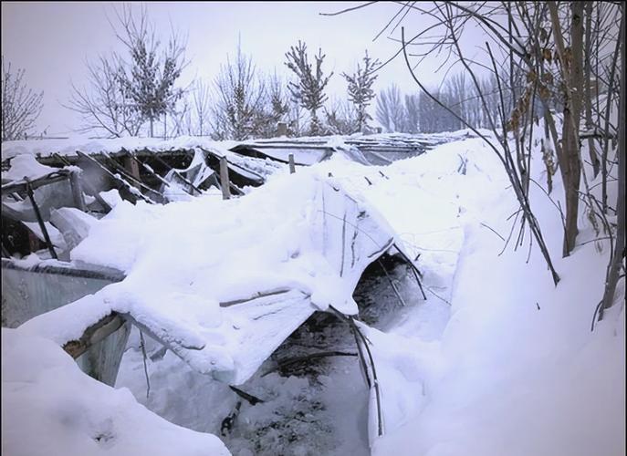 杭州拱墅区天气预报一周查询，中国浙江省杭州市拱墅区天气预报？-第6张图片-优品飞百科